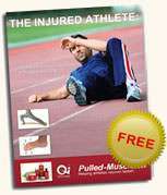 Free Guide