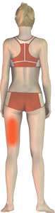 Hamstring Injury